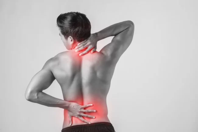 spine